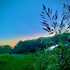 New Moon Medicine - Stereolithica 566