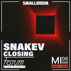 snakev @ SMALLroom 06.03.24, Forum Bielefeld