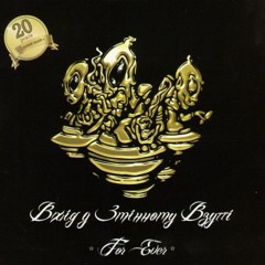 ВУЗВ/ Вхід у Змінному Взутті - Хтось каже так (Dgyrick Remix)