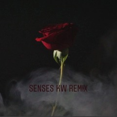 Kingdoms - Senses - KW Remix