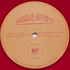 VA FFF016 Preview (Vinyl Only)