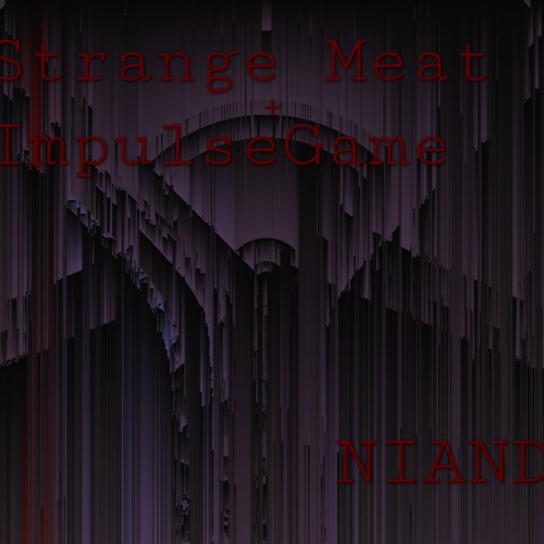 Strange Meat + ImpulseGame : NIAND