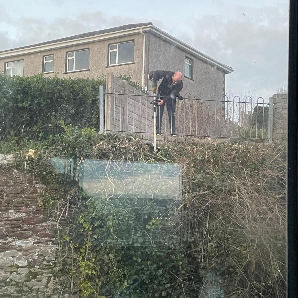 The Anemoia Society Show