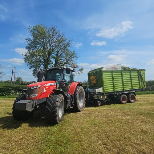 Wake All The Timber Up ☀️