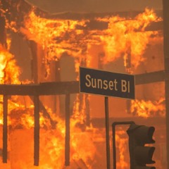 SKATEBOARD P - Yung Bans x LeazyWorld