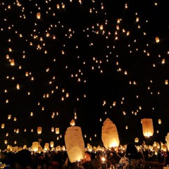 Paradise Under Lights