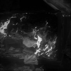 Welcoming you to The Holy Temple of Dumpster Fires
