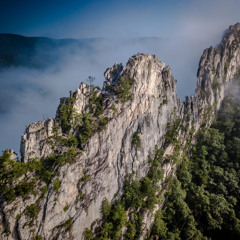 The Ascent