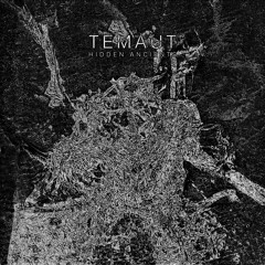 10.Temaut - Renascence
