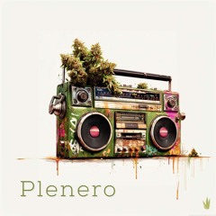 Plenero (Original Mix)