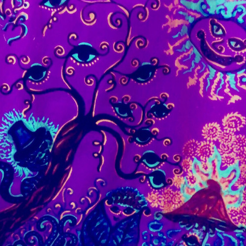 Psychonautic Traveller
