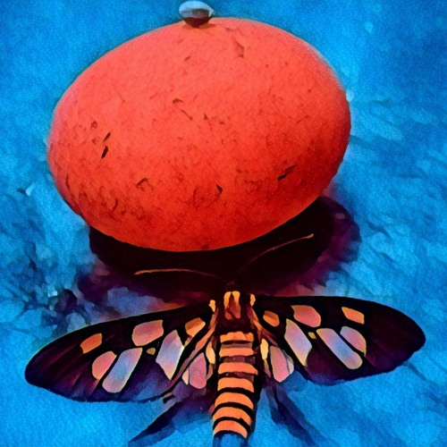 Abstract Anglo's Monsoon 2021 Mix