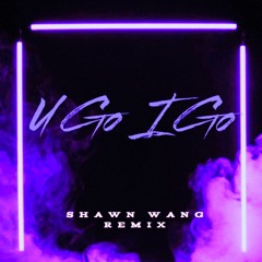 Shawn Wang - U go I go (Disco Lines EDC LV 2025 ID - Shawn remix)