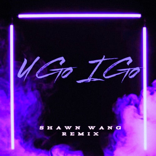 Shawn Wang - U go I go (Disco Lines EDC LV 2025 ID - Shawn remix)