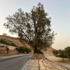 araby