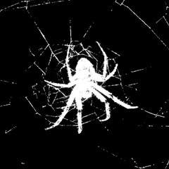 SINKING  (F̶̧̱̞̫͂̎̈́̏̇̇̈́̀͝Ŗ̵̱̋̊̏́̓͝͝E̵̡̞̓̉Ē̴̛̲̱͕̖̲̪̓͆̊̒̀͒͜ ̷̢̢̧̯̜̔͑̿͋̀̈͘͜D̷̨̧̛̖̮̱̓̈́̈́̆L̴̨̛͔̞̞̝͕̇̿̊̉̕͝ͅ)