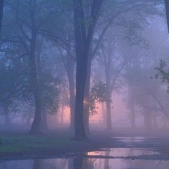 монеточка - твое имя ( slowed&reverb )