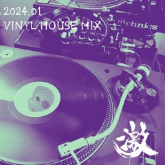 激 VINYL DJ MIX HOUSE SAMPLE MIX 202401