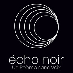Un Poème sans Voix