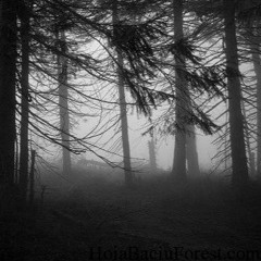 Mysterious Place