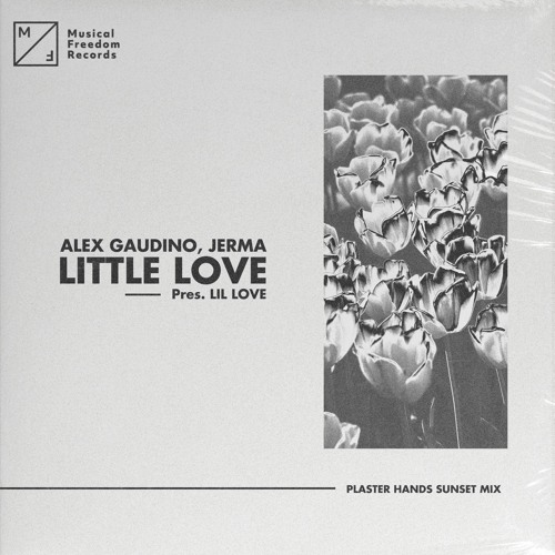Alex Gaudino, Jerma  - Little Love (pres. Lil Love) (Plaster Hands Sunset Mix)