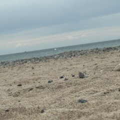 Gozilla-LiVe - der Koffer