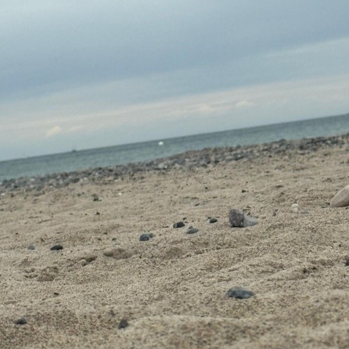 Gozilla-LiVe - der Koffer