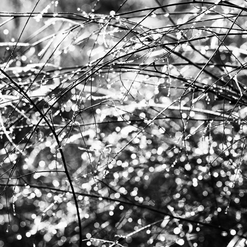 << 𝕃𝕚𝕧𝕖 >>