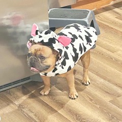 playin (like and follow pls)