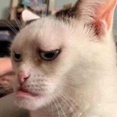 Mini set house Lắk thập cẩm 2024 ( Tú đội mix )