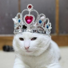 Crown in Fire
