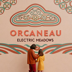 Electric Meadows