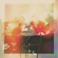Akin