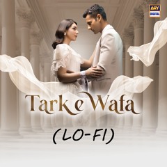 Tark E Wafa | Lo-Fi | Slow & Reverb 🎶 | Nirmal Roy, Mohsin Abbas Haider, Hamid Naqibe | ARY Digital