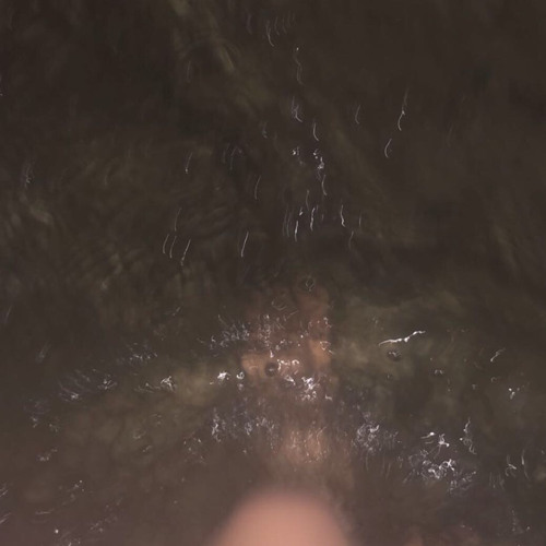 ودي تسمع   -  بدر الشعيبي