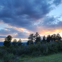 bird map (2019), version for contrabass clarinet