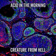 Acid In The Morning