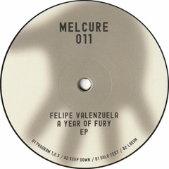 Felipe Valenzuela - A Year Of Fury EP (MELCURE011)