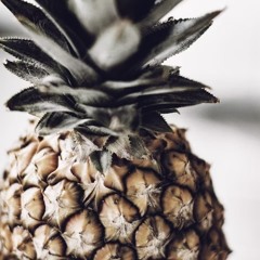 Rakim-Flow Forever-Maunam Beats