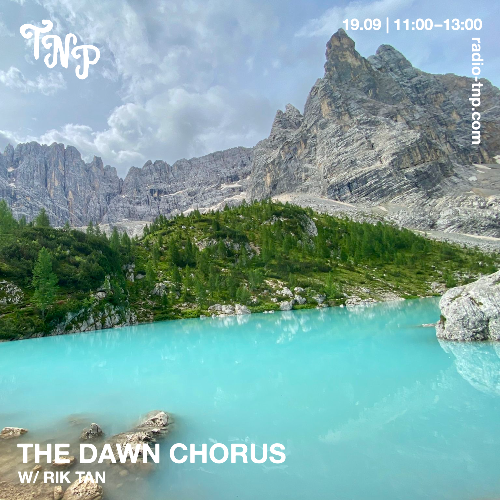 The Dawn Chorus w/ Rik Tan