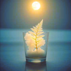 Inner Light – Relaxing Yoga Harmony