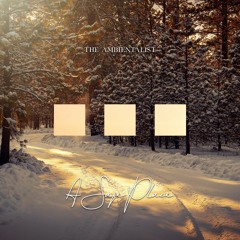 The Ambientalist - A Safe Place