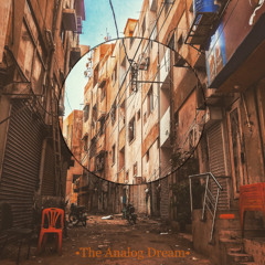The Analog Dream