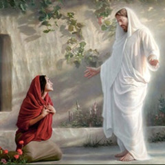 Christ is Risen - قام حقاً