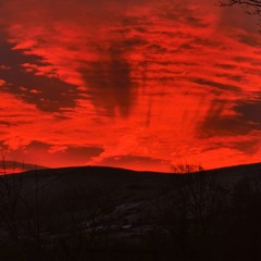 Jay R P - In This World