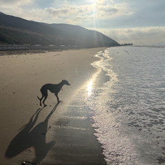 hinc illae lacrimae (poem, revised)