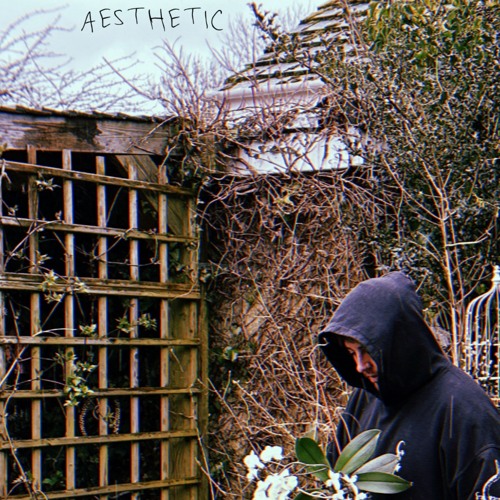 Aesthetic (prod. the sound clown, 5head)