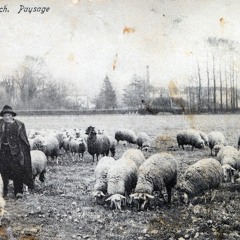 De kwade kaboutermannekes - Zennebeemden - Drogenbos