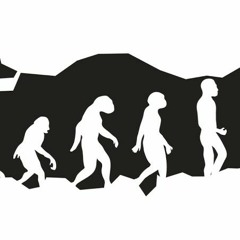 Psycholocibina - Evolução