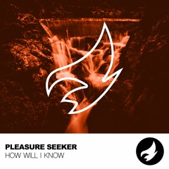 Pleasure Seeker | How Will I Know